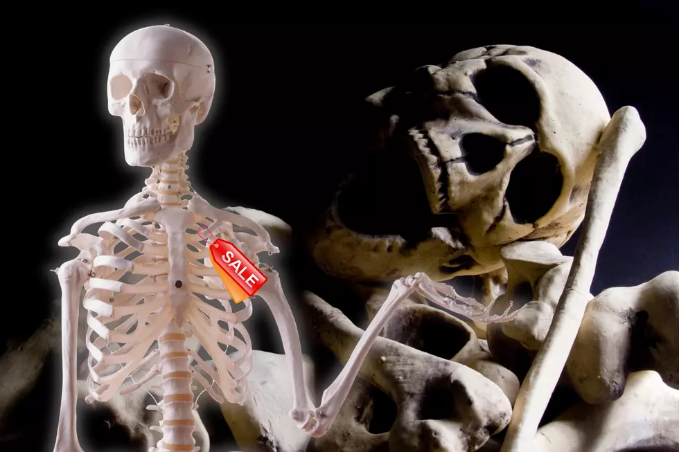 Is it Legal to Buy or Sell Human Bones in Indiana?